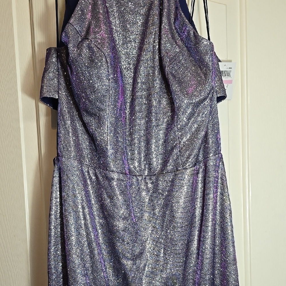 Shimmering Silver and Purple Dress